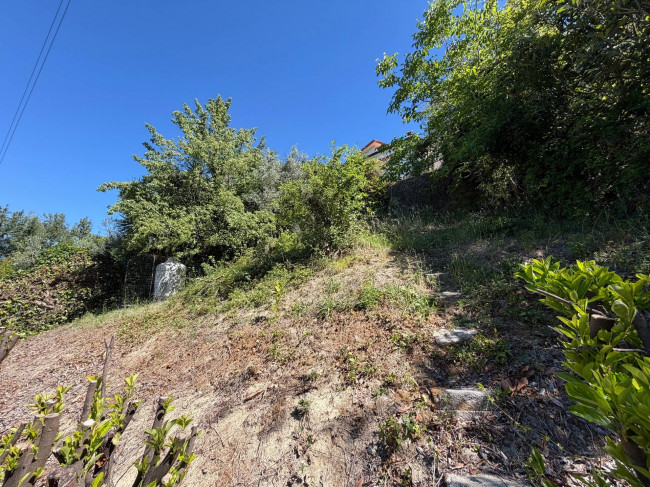 soluzione semiindipendente in vendita a Rocca d'Arce