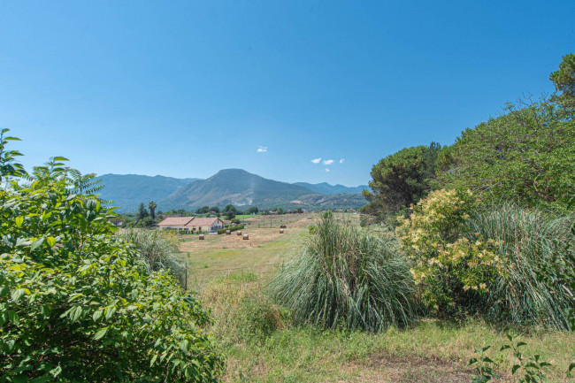  for sale in Pontecorvo