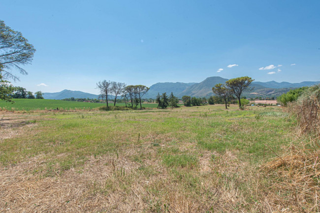  for sale in Pontecorvo