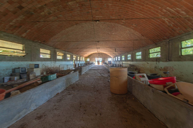  for sale in Pontecorvo