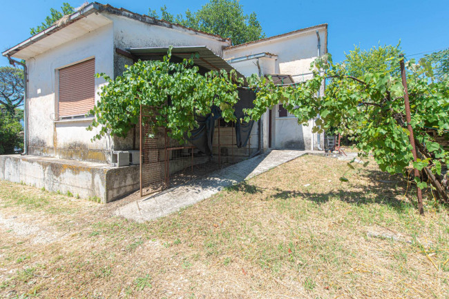  for sale in Pontecorvo