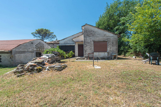  for sale in Pontecorvo