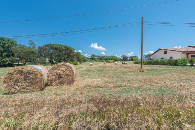  for sale in Pontecorvo
