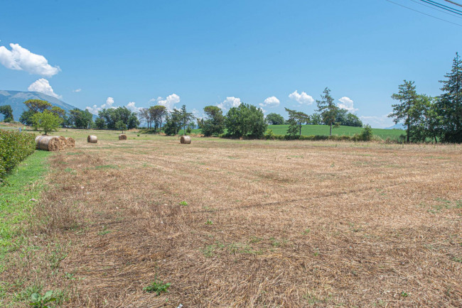  for sale in Pontecorvo