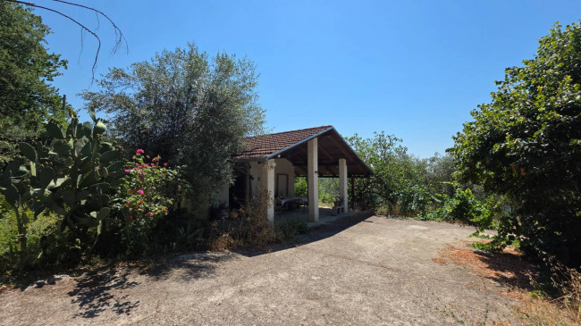 Casa indipendente in vendita a Arce