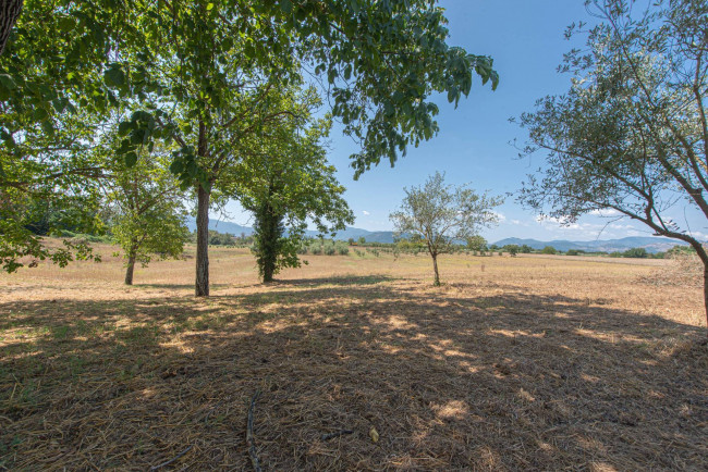 Villa in vendita a Roccasecca