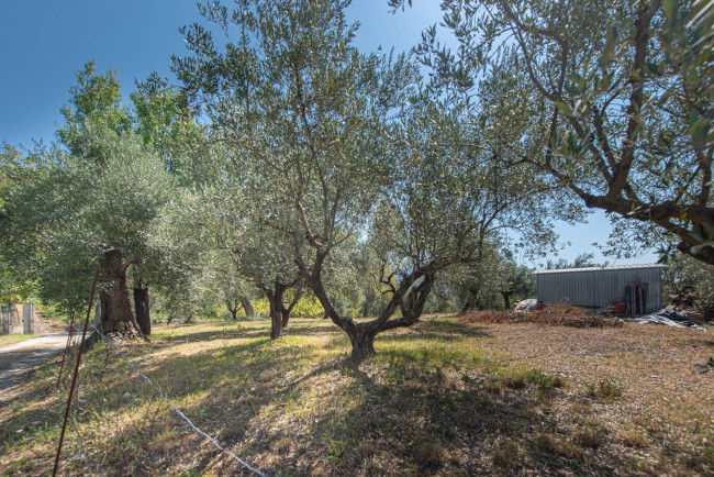 detached house for sale in Roccasecca