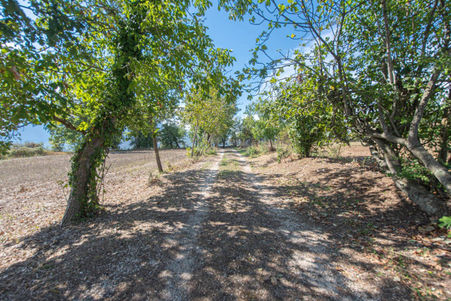 Casale di campagna in vendita a Pontecorvo