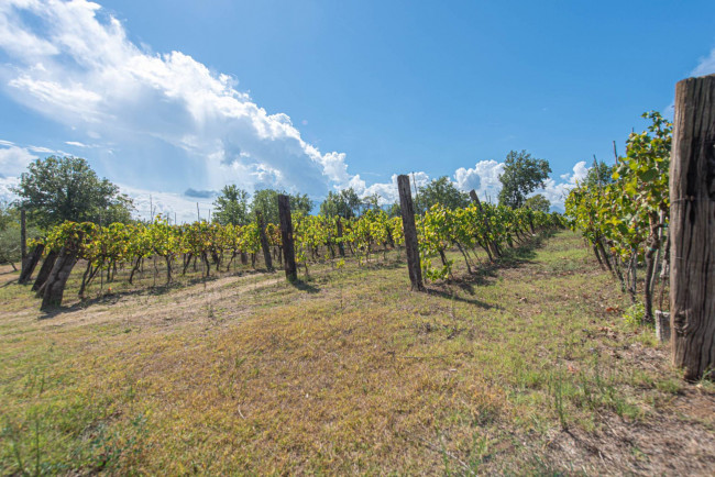 Casale di campagna in vendita a Pontecorvo