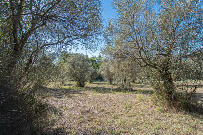 Casa indipendente in vendita a Arce
