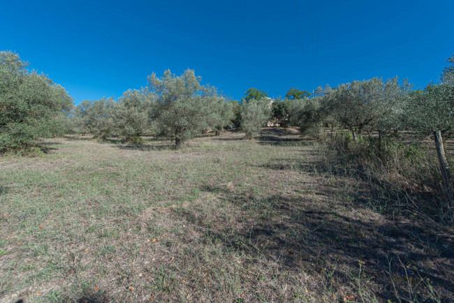 Casa indipendente in vendita a Arce