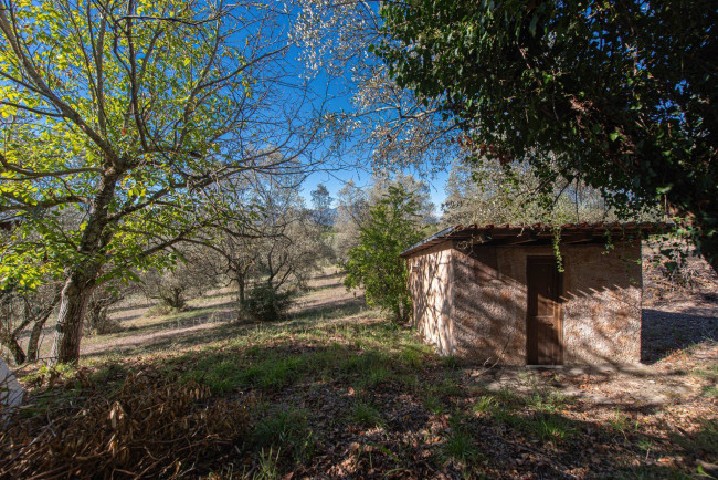 Casa indipendente in vendita a Arce
