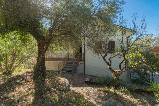 Casa indipendente in vendita a Arce