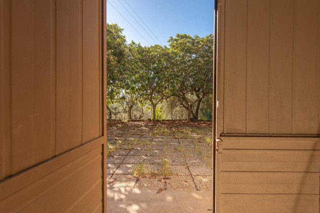 Casa indipendente in vendita a Arce