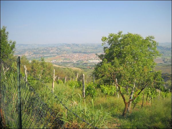 Villa Unifamiliare - Indipendente CONTROGUERRA vendita    Ciccarelli Daniela