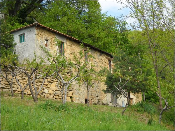 Rustico - Cascina ASCOLI PICENO vendita    Ciccarelli Daniela