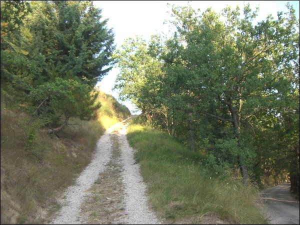 Rustico - Cascina VENAROTTA vendita    Ciccarelli Daniela