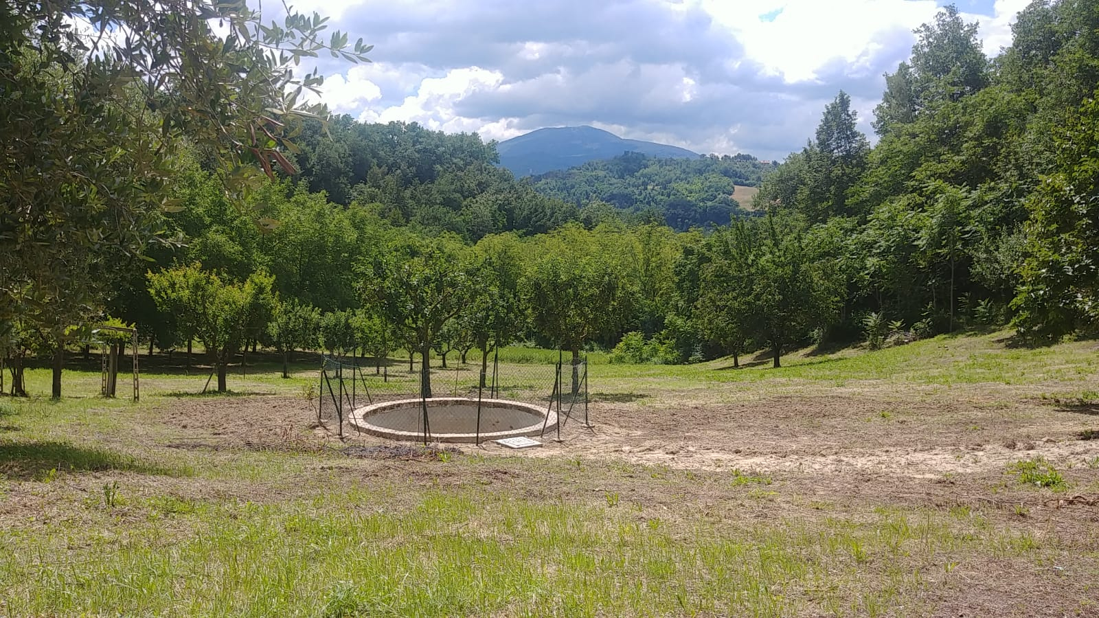 Villa Unifamiliare - Indipendente ASCOLI PICENO vendita  Venagrande  Ciccarelli Daniela