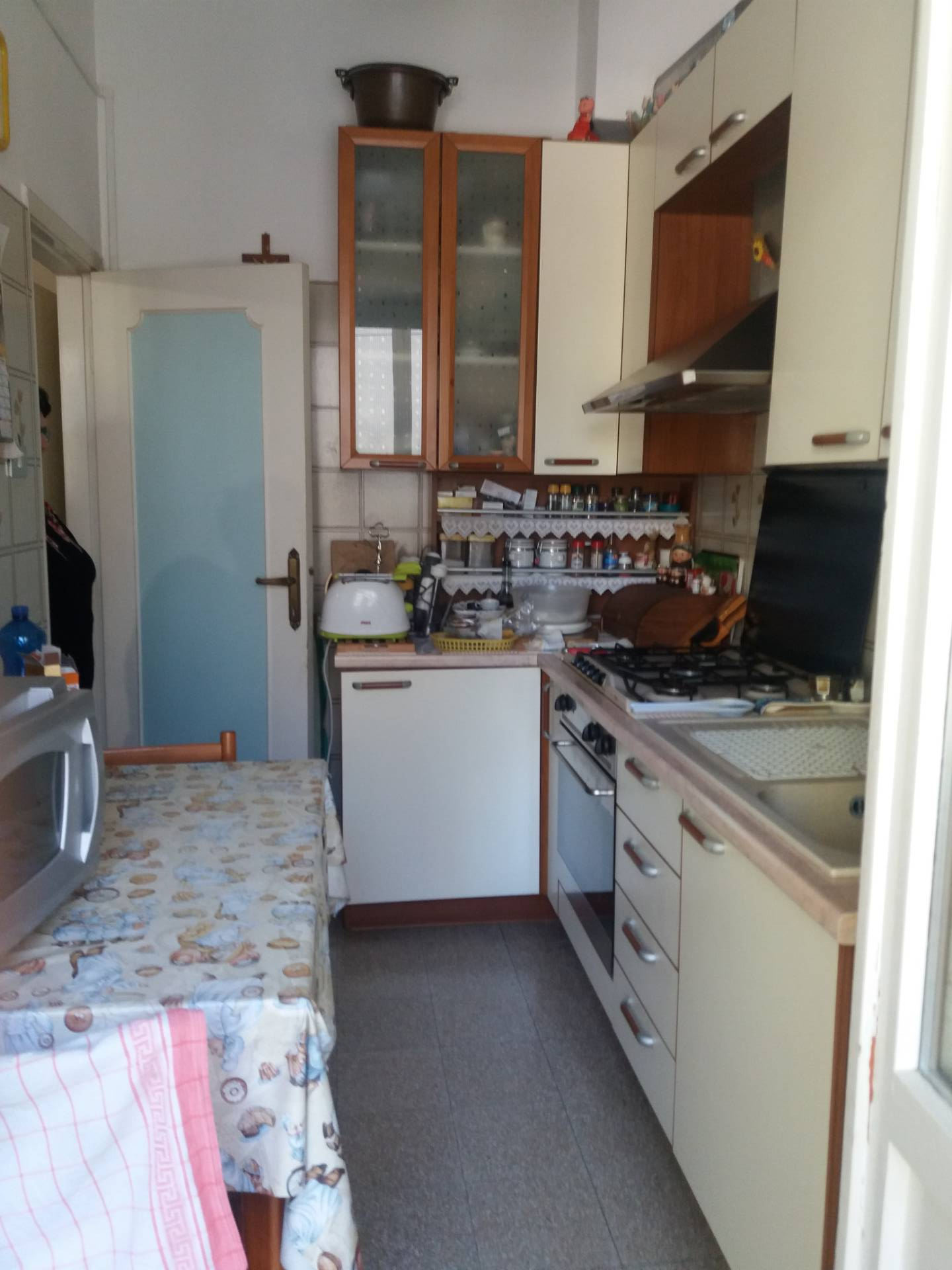 Appartamento ASCOLI PICENO vendita  Borgo Solestà  Ciccarelli Daniela