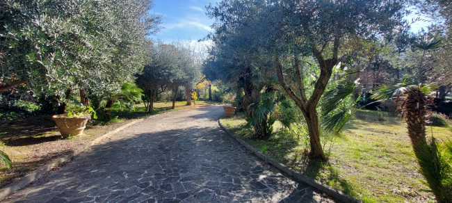 Villa in Vendita a Ascoli Piceno