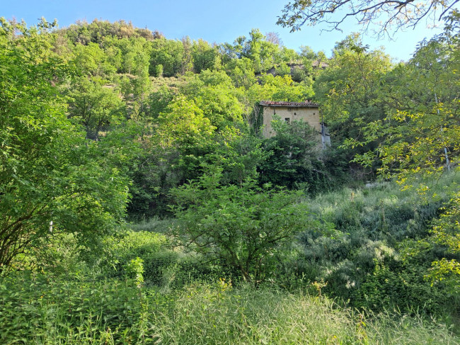 Casa colonica in Vendita a Montegallo