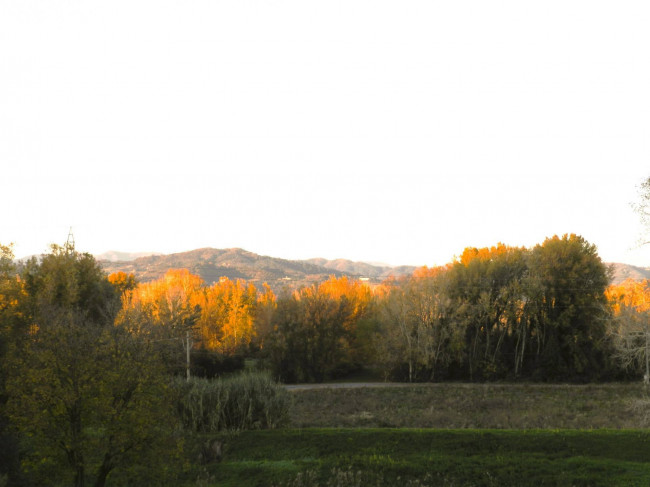 Rustico in vendita a Meati, Lucca (LU)