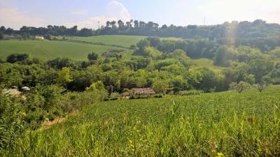 country House for Sale to Cupra Marittima