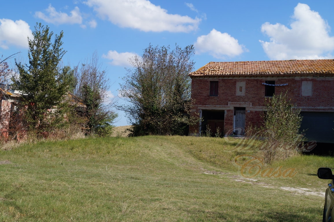 Rustico - Cascina OSTRA vendita    Marche Casa Building Srlus