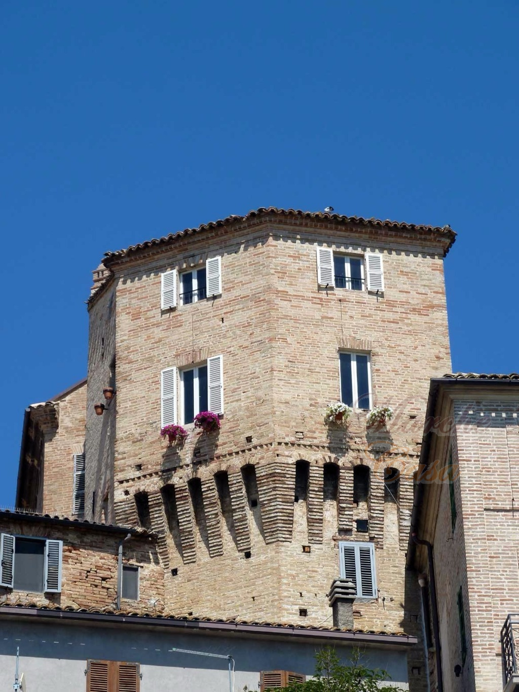 Rustico - Cascina CARASSAI vendita    Marche Casa Building Srlus