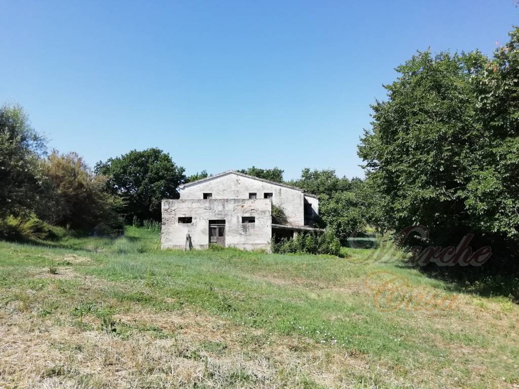 Rustico - Cascina CINGOLI vendita    Marche Casa Building Srlus