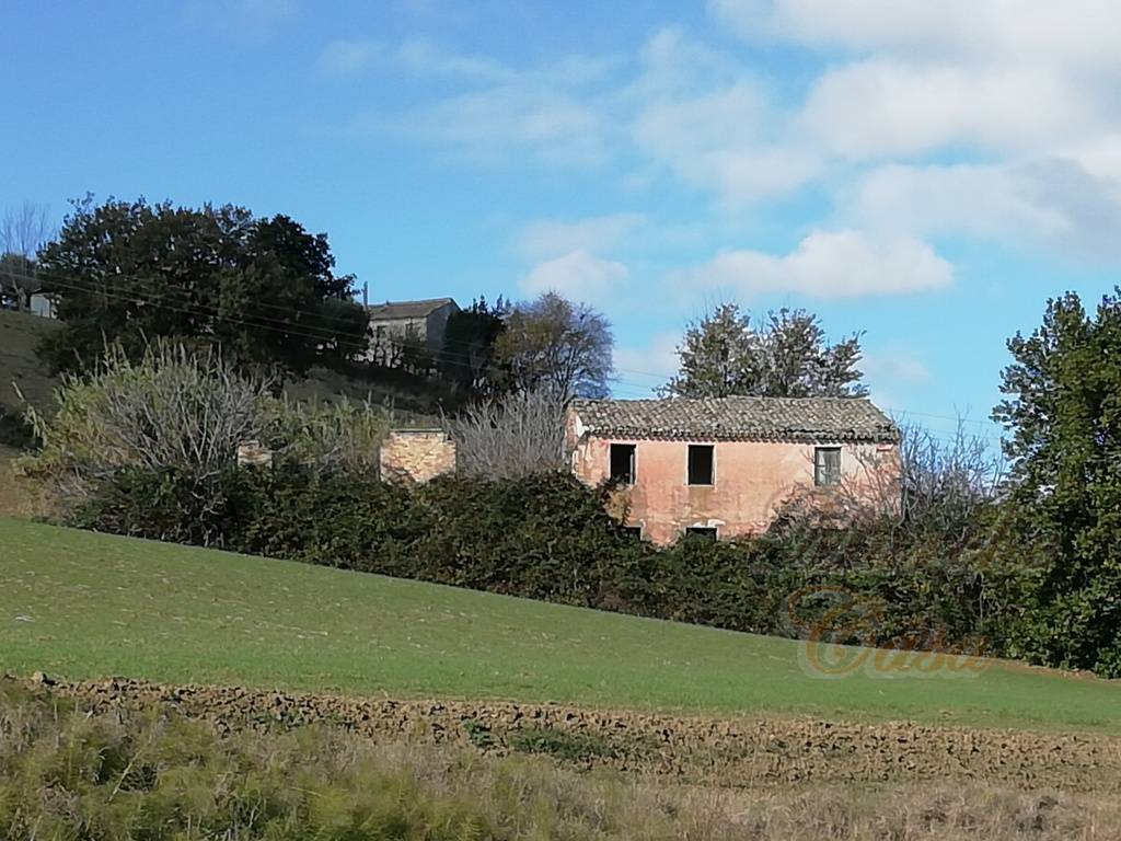  osimo vendita quart:  marche casa building srlus