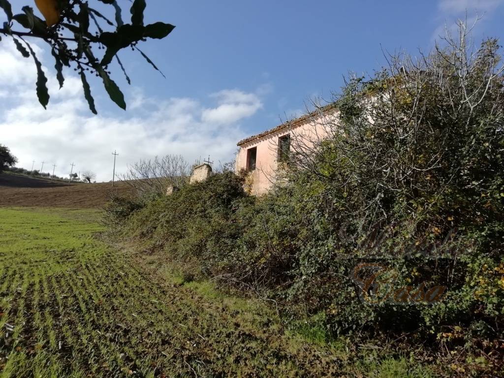 Rustico - Cascina OSIMO vendita    Marche Casa Building Srlus