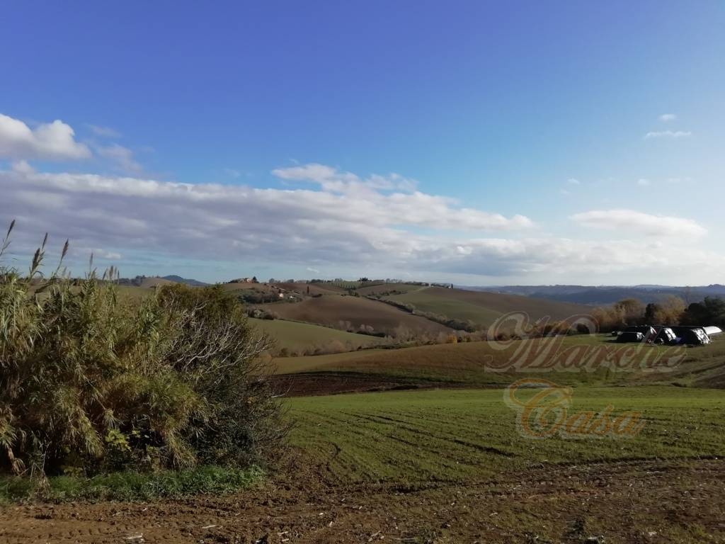 Rustico - Cascina OSIMO vendita    Marche Casa Building Srlus