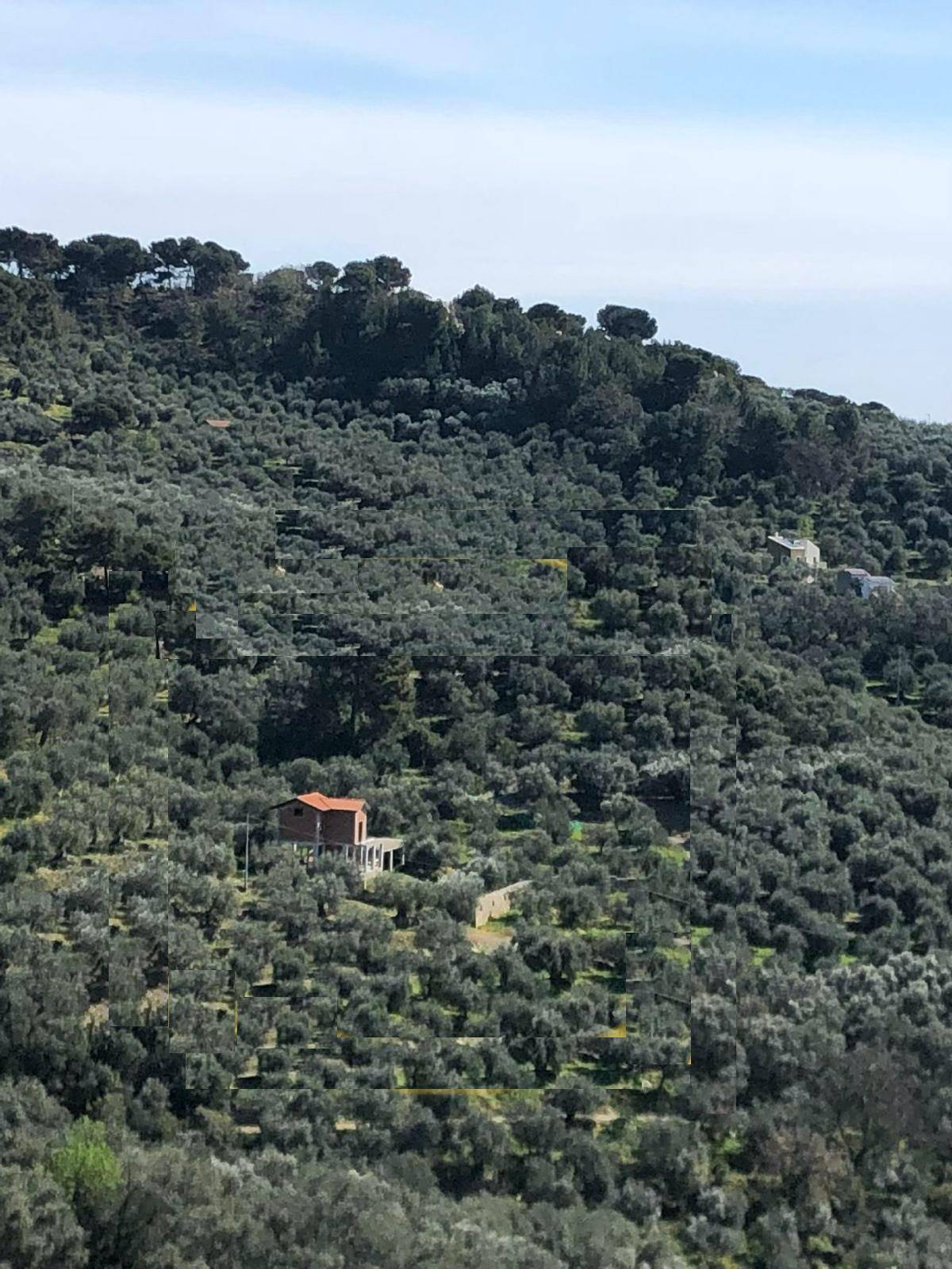 Villa in vendita a Diano Marina (IM)