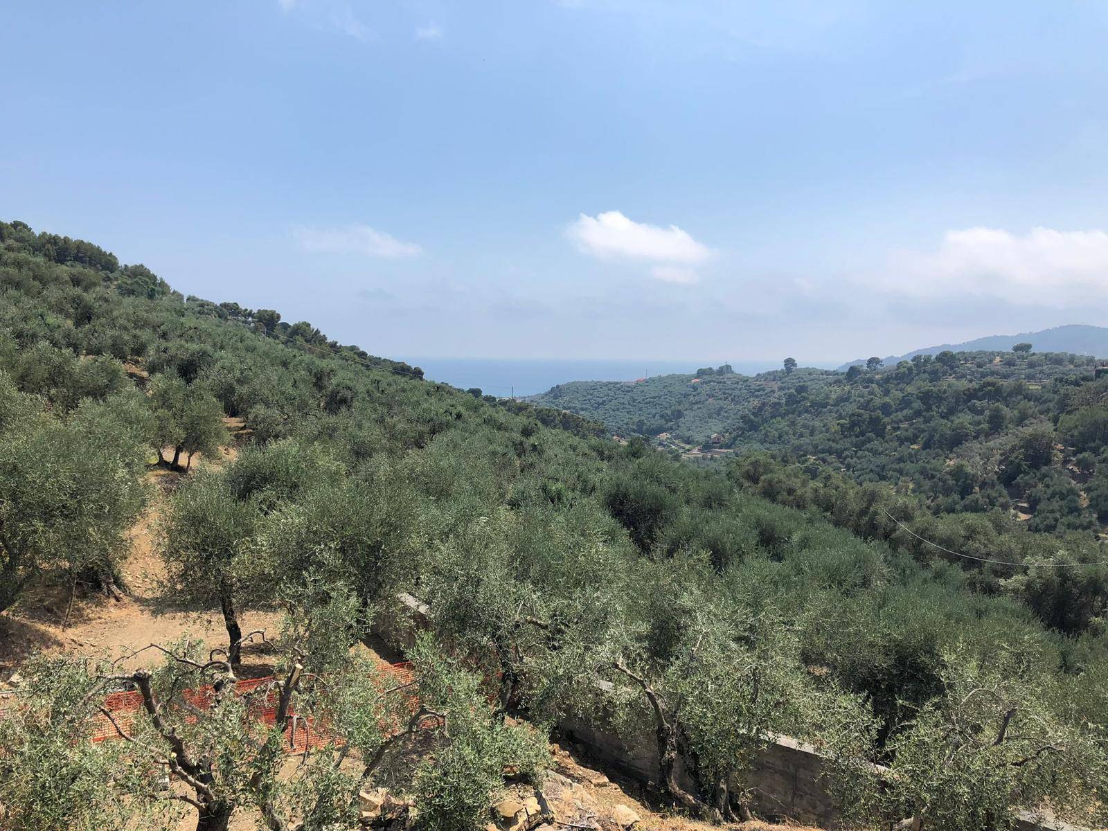 Villa in vendita a Diano Marina (IM)