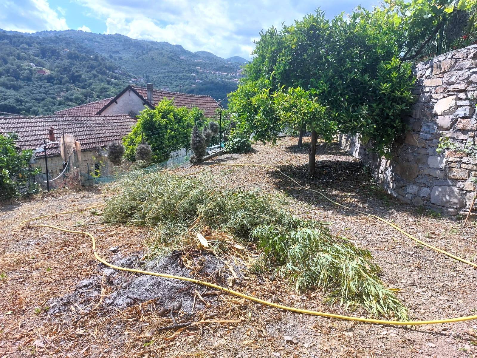 Casa semi-indipendente in vendita a Diano San Pietro (IM)