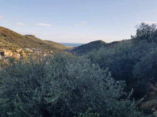 Casa semindipendente in Vendita a Diano Arentino