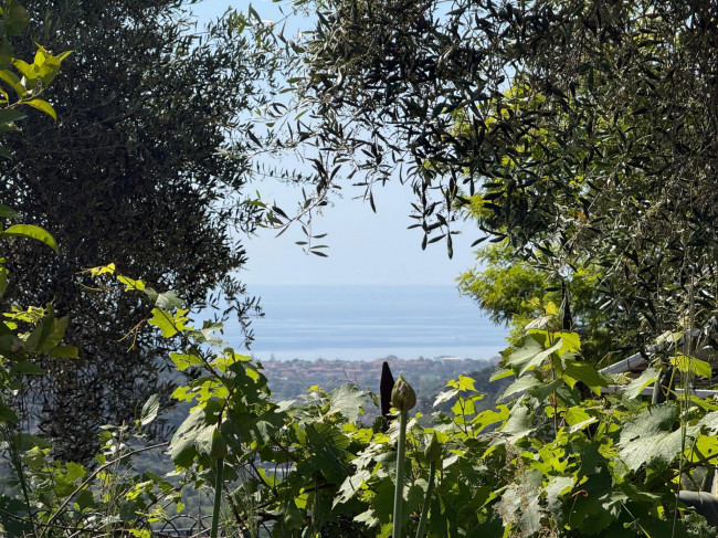 3 locali in Vendita a Diano Marina