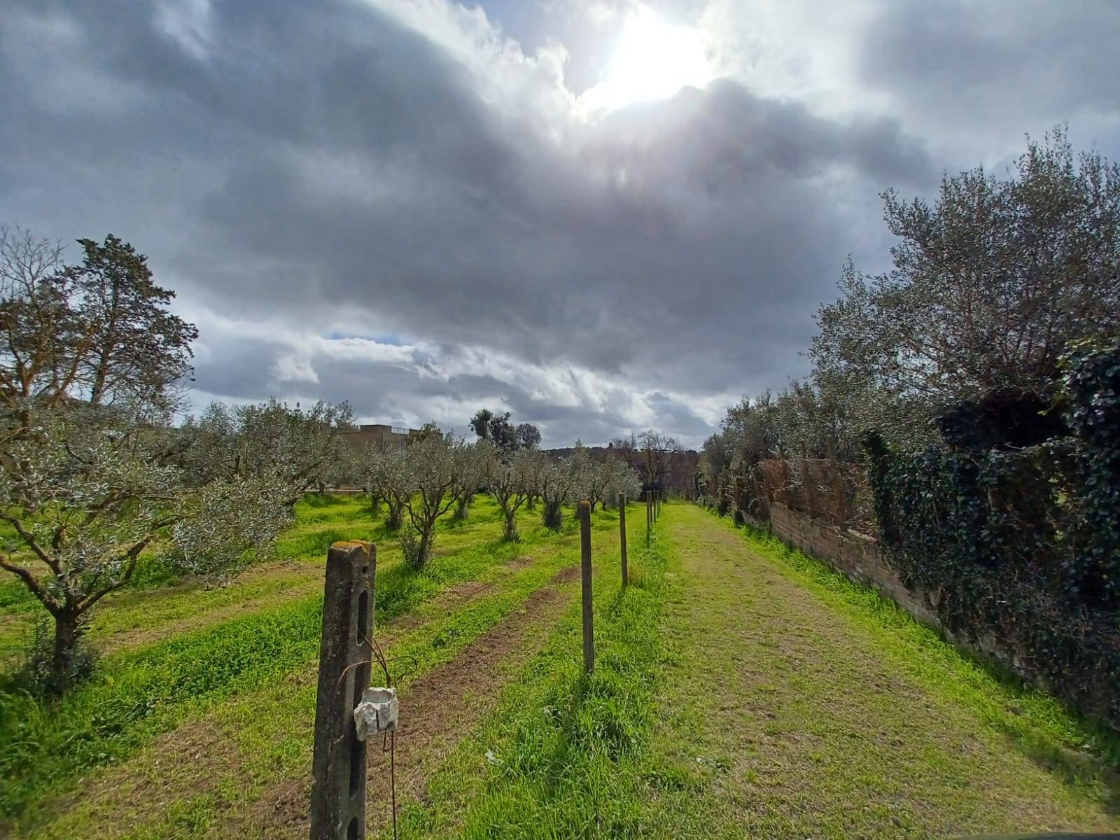 Terreno agricolo in vendita a Castel Gandolfo (RM)