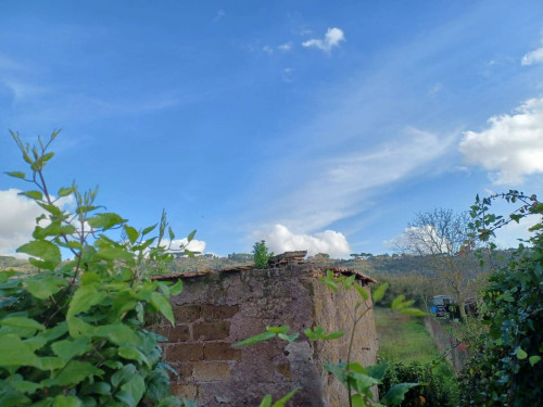 Terreno agricolo in vendita a Ariccia (RM)