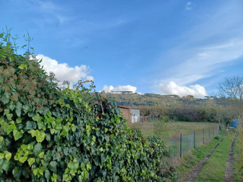 Terreno agricolo in vendita a Ariccia (RM)