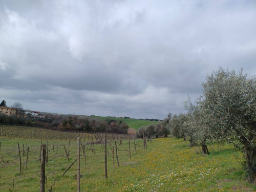 Terreno agricolo in vendita a Roma (RM)