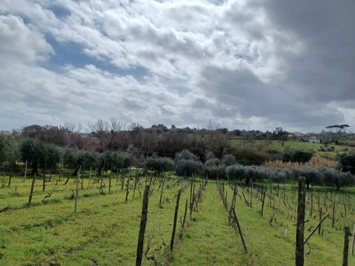 Terreno agricolo in vendita a Roma (RM)