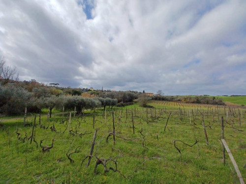 Terreno agricolo in vendita a Roma (RM)