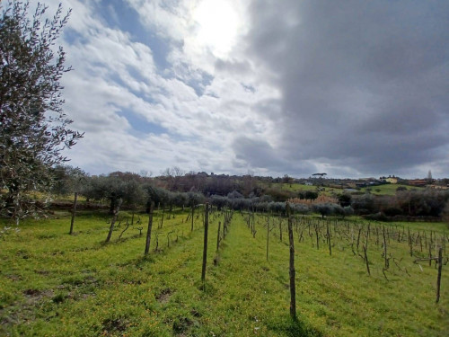 Terreno agricolo in vendita a Roma (RM)