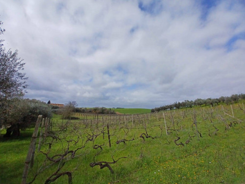 Terreno agricolo in vendita a Roma (RM)