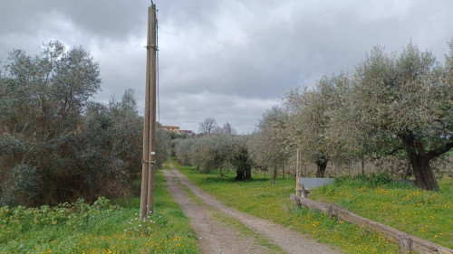 Terreno agricolo in vendita a Roma (RM)