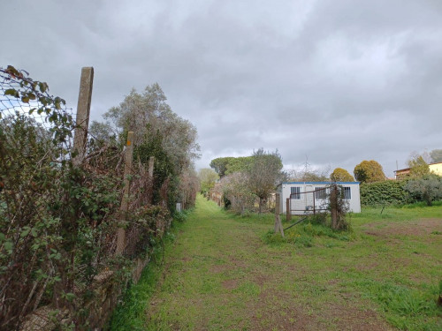 Terreno agricolo in vendita a Castel Gandolfo (RM)