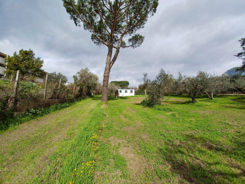 Terreno agricolo in vendita a Castel Gandolfo (RM)