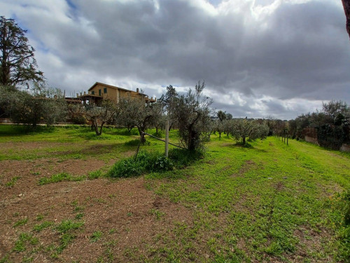 Terreno agricolo in vendita a Castel Gandolfo (RM)